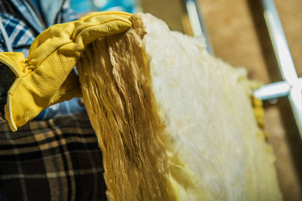 Best Insulation Maintenance and Repair in Waynesboro, TN