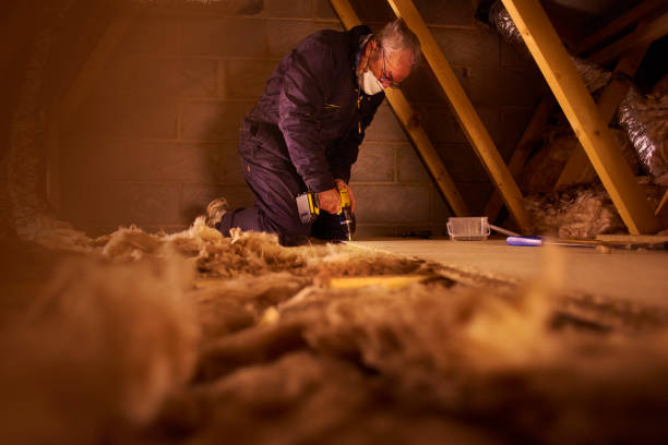 Best Residential Insulation in Waynesboro, TN